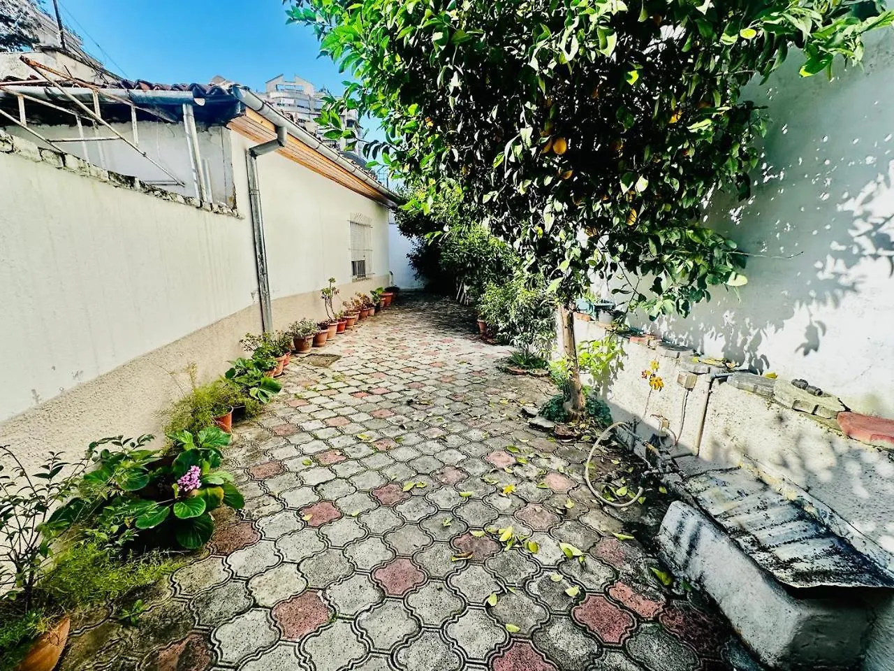 Orange Tree House Βίλα Τίρανα Αλβανία